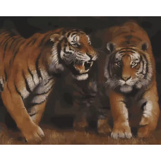 Картина по номерам Цветной Дружба тигра, 40x50