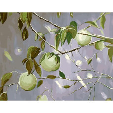 Картина по номерам ВанГогВоМне Яблочный дождь, 40x50