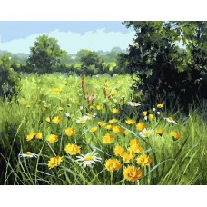 Картина по номерам Paintboy Одуванчики на лугу, 40x50 см