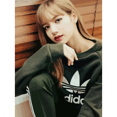 Живопись по номерам Бруталити BLACKPINK Kpop Lisa - 995