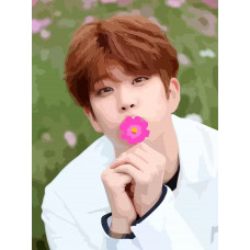 Живопись по номерам Бруталити Музыка KPOP ASTRO - 6052 В