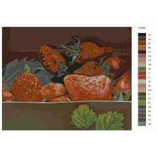 Живопись по номерам BRUSHES-PAINTS Клубника