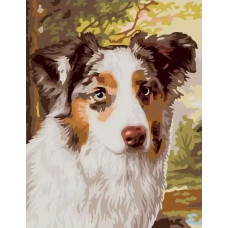 Картина по номерам Paintboy Взгляд собаки, 30x40