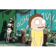 Картина по номерам «Рик и Морти: Девушка-робот», rickmorty-001