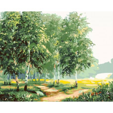 Картина по номерам Живопись по Номерам Берёзы, 40x50
