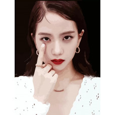 Картина по номерам Бруталити BLACKPINK Kpop jisoo 16 на холсте 40x30