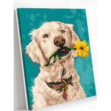 Картина по номерам Art on Canvas Собака с цветком 40х50