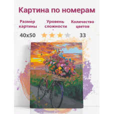 Картина по номерам Раскрасим сами велосипед с цветами холст на подрамнике 40х50 см
