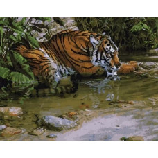 Живопись по номерам Paintboy Тигр у лесного ручья 40x50