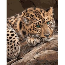 Живопись по номерам Paintboy Взгляд леопарда 40x50