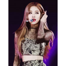Живопись по номерам Бруталити BLACKPINK Kpop Rose - 969