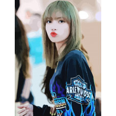 Живопись по номерам Бруталити BLACKPINK Kpop Lisa - 991