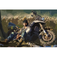 Живопись по номерам NoBrand Days gone