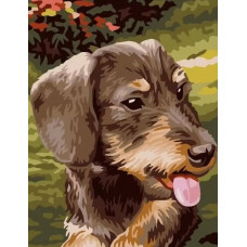 Картина по номерам Paintboy Пёс, 30x40