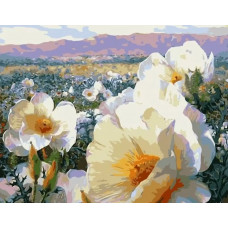 Живопись по номерам Paintboy Цветочное поле 40x50