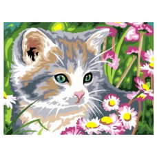 Картины по номерам Color Kit Котенок