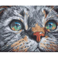 Картина по номерам Paintboy Взгляд кошки, 40x50 см