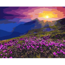 Картина по номерам ВанГогВоМне Рассвет солнца, 40x50