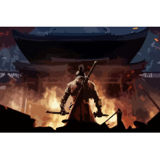Живопись по номерам NoBrand Sekiro