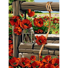 Картина по номерам Цветной Маки у колодца, 30x40