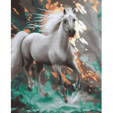 Картина по номерам Molly Стремительный, 40x50