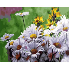 Картина по номерам Paintboy Ромашки на лугу, 40x50