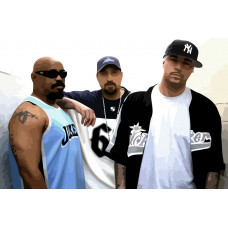 Картина по номерам Бруталити Cypress Hill 1 см
