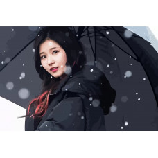 Картина по номерам Бруталити TWICE Kpop Sana 35 см