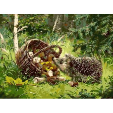 Картина по номерам Цветной Любопытный ежик, 40x50