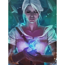 Картина по номерам Бруталити Ведьмак witcher цири с птицей 2356 на холсте 40x30
