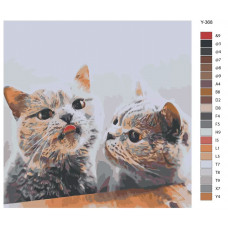 Живопись по номерам BRUSHES-PAINTS Милые коты