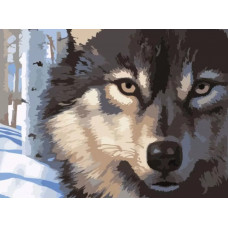 Картина по номерам Цветной Волк в зимнем лесу, 30x40