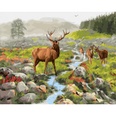 Картина по номерам Paintboy Таежный пейзаж GX25642