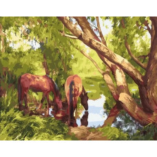 Живопись по номерам Paintboy Лошади у водопоя 40x50