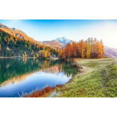 Картина по номерам Рыжий кот Осенняя природа горной местности 30х40
