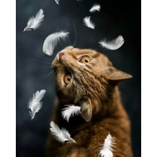 Картина по номерам Colibri "Котик и перья" холст на подрамнике 40х50 см, VA-3650 Картина по номерам Colibri "Котик и перья" холст на подрамнике 40х50 см, VA-3650