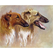 Картина по номерам Molly Борзые, 40x50