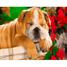 Живопись по номерам Paintboy Спящий бульдог 40x50