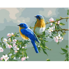 Картина по номерам, холст на подрамнике Colibri, 40x50см, артикул VA-2545