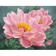 Картина по номерам Paintboy Китайские пионы, 40x50 см