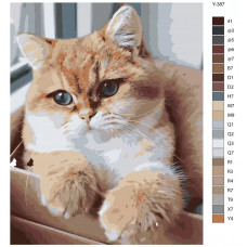 Живопись по номерам BRUSHES-PAINTS Кот в коробке у окна