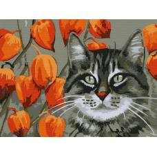 Картина по номерам Molly Мечтатель, 15x20