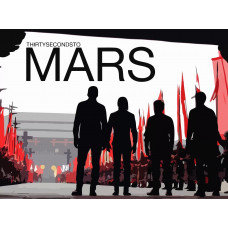 Картина по номерам Бруталити 30 seconds to mars 5 на холсте 40x30