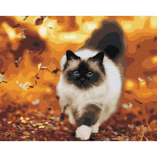 Картина по номерам Molly Осенняя прогулка, 40x50
