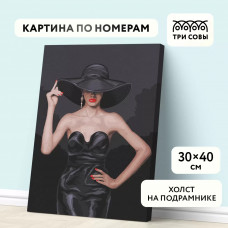 Картина по номерам на холсте ТРИ СОВЫ Высокая мода, 30х40, с красками и кистями