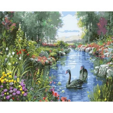 Картина по номерам Цветной Черные лебеди, 40x50