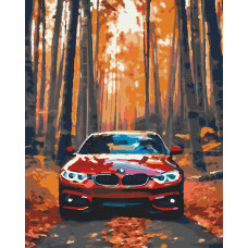 Картина по номерам ТТ Машина BMW, холст на подрамнике 40х50