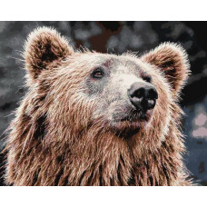 Картина по номерам Артвентура «Мишка», 02ART40501214