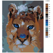 Живопись по номерам Живопись по номерам Z-AB200