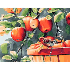 Картина по номерам Paintboy Яблоки в саду, 40x50 см